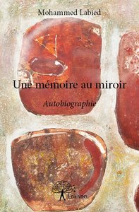 Image de Une mémoire au miroir