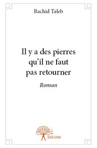 Image de Il y a des pierres qu'il ne faut pas retourner