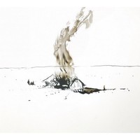 Picture of DRIFTING