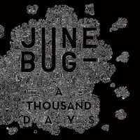 Picture of A THOUSAND DAYS