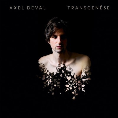 Picture of TRANSGENESE