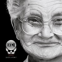 Picture of QUI EST LA PUNK ?