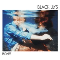 Picture of Black Lilys - Boxes