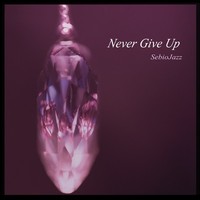 Picture of NEVER GIVE UP