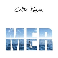 Picture of MER