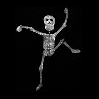Picture of INTRODUCING SPIRITUS FONKTUS