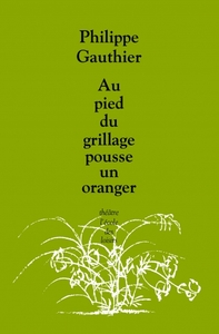 Image de Au pied du grillage pousse un oranger