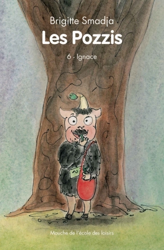 Image de pozzis vi ignace