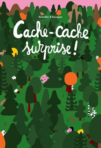 Image de cache-cache surprise