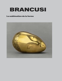 Picture of Brancusi. La sublimation de la forme.