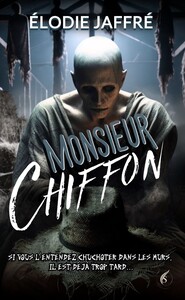 Image de Monsieur Chiffon