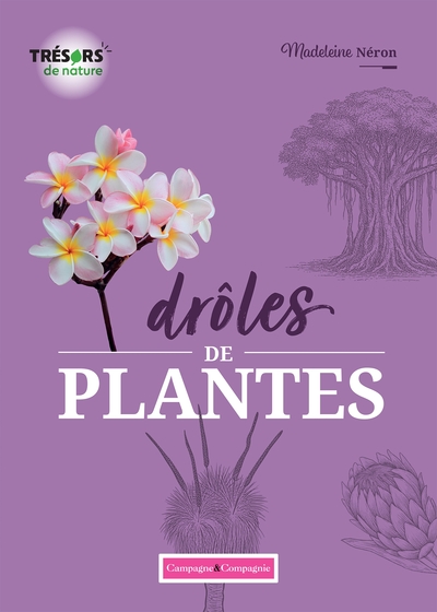 Image de Drôles de plantes