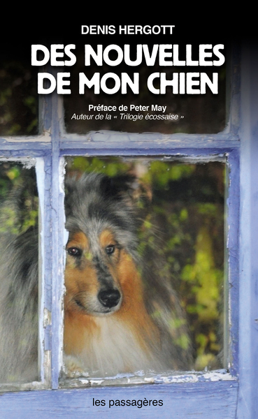 Picture of DES NOUVELLES DE MON CHIEN