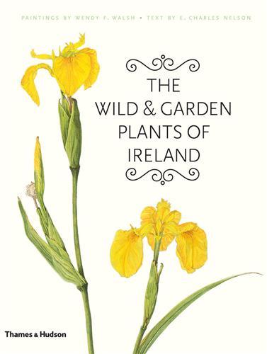 Picture of The Wild & Garden Plants of Ireland /anglais