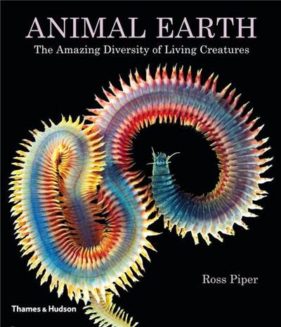 Picture of Animal Earth /anglais