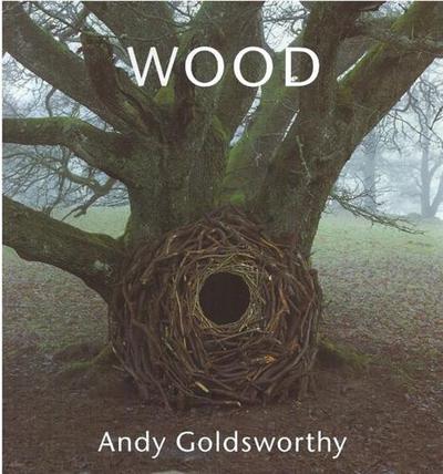 Picture of Andy Goldsworthy Wood /anglais