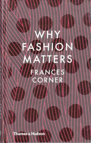 Picture of Why Fashion Matters /anglais