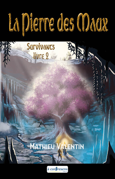 Picture of La Pierre des Maux Livre 2 Survivants