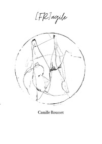 Picture of (FR)Agile