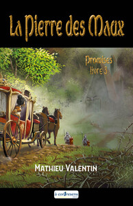 Picture of La Pierre des Maux Livre 3 Promises