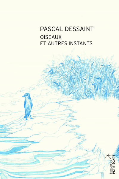 Image de Oiseaux et autres instants