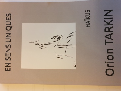 Picture of EN SENS UNIQUES