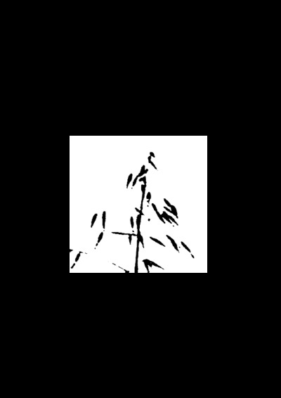 Picture of EN SENS UNIQUES