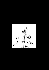 Picture of EN SENS UNIQUES