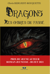 Picture of Dragons: Les ombres du passé