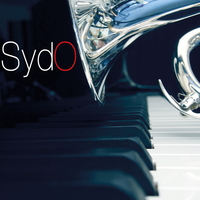 Picture of SYDO