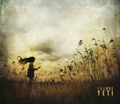 Image de ORANGE YETI