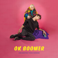Picture of OK BOOMER