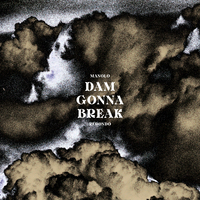 Image de DAM GONNA BREAK