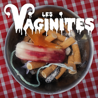 Picture of VAGINITES