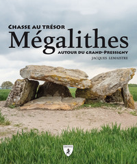 Picture of Mégalithes - chasse au trésor autour du Grand-Pressigny