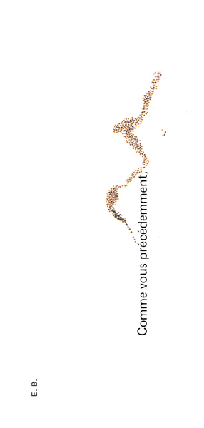 Image de Comme vous précédemment
