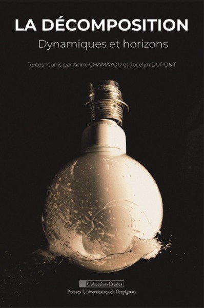 Image de La décomposition. dynamiques et horizons