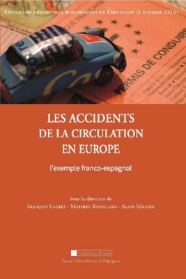 Picture of Les accidents de la circulation en Europe. l'exemple franco-espagnol