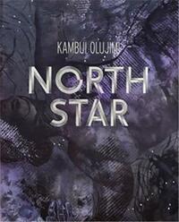 Picture of Kambui Olujimi: North Star /anglais