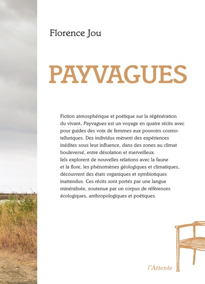 Picture of Payvagues