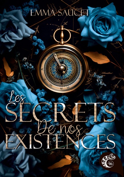 Picture of Les secrets de nos existences