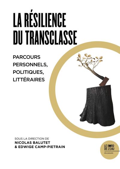 Image de La résilience du transclasse