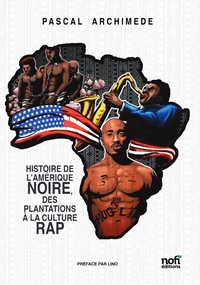 Picture of HISTOIRE DE L’AMERIQUE NOIRE, DES PLANTATIONS A LA CULTURE RAP
