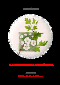 Image de La Magie de l'aubépine