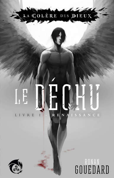 Image de Le Déchu, Livre 1 : Renaissance
