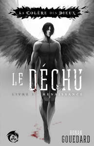 Image de Le Déchu, Livre 1 : Renaissance