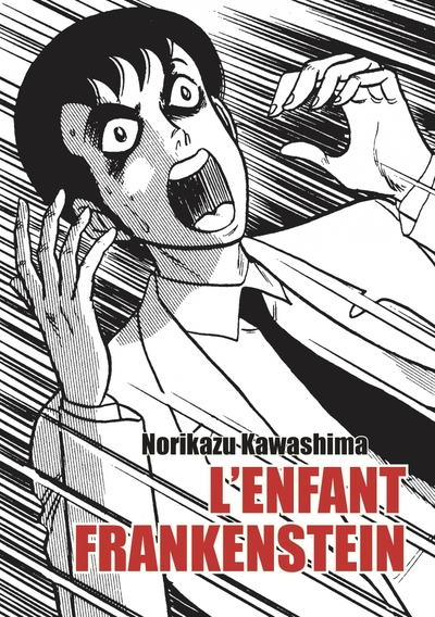 Picture of L'enfant Frankenstein