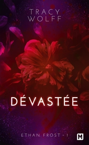 Picture of Ethan Frost, T1 : Dévastée