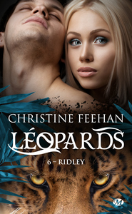 Picture of Léopards, T6 : Ridley