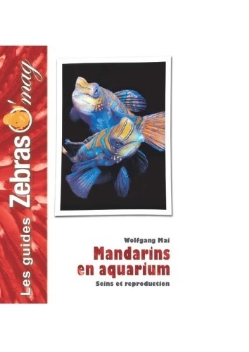 Image de Mandarins en aquarium - soins et reproduction